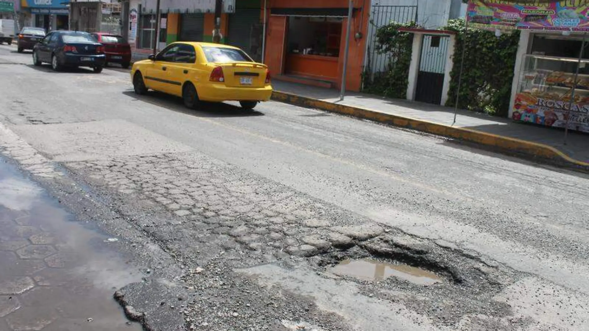 Baches Totolac